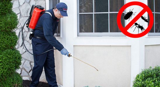 Gelendost Karınca İlaçlama böcek ilaçlama ve haşere kontrolü — ilaclama-tr.com